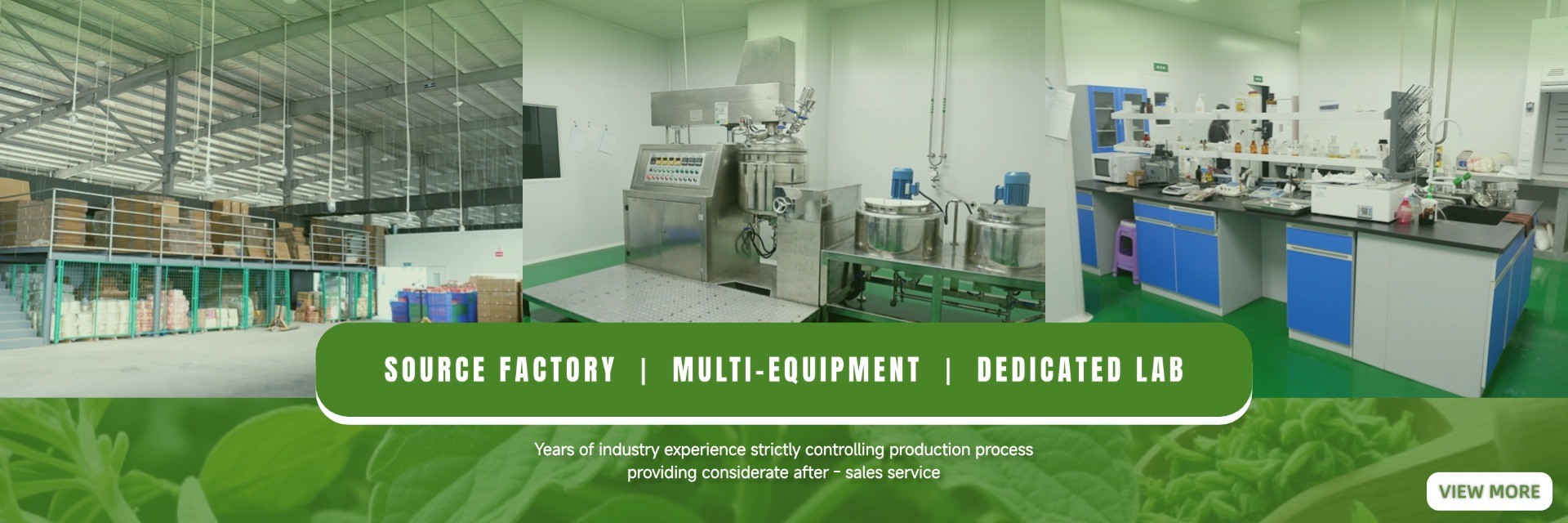 kwaliteit Wurmhoutvoetbad fabriek